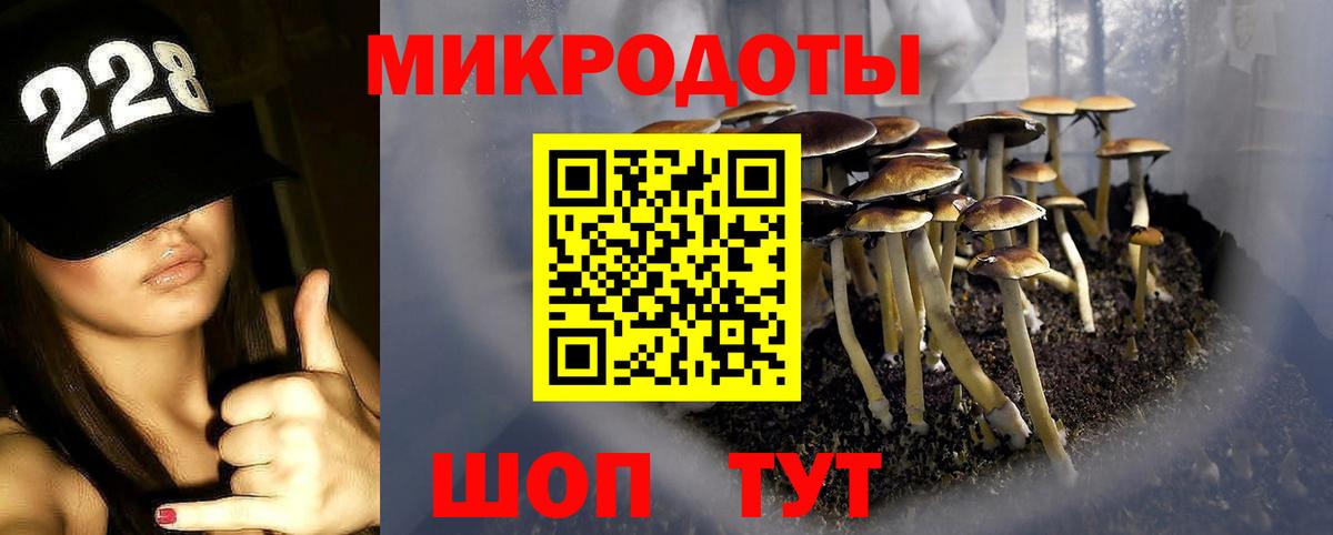Галлюциногенные грибы мухоморы Зеленокумск